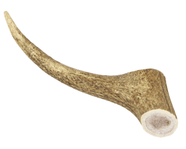 MARP HOLISTIC - JELENIE PAROHY, VEĽKOSŤ XL (160 - 200G)