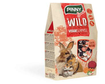 PINNY WILD SNACK VEGGIE SURPRISE 100G