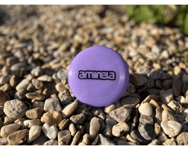 AMINELA FRISBEE FASTBACK MINI PURPLE