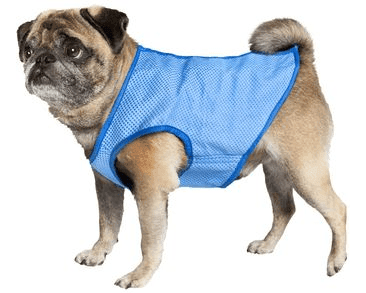 NOBBY CHLADIACA VESTA XS PRE PSA ZĽAVA 20 % VÝPREDAJ