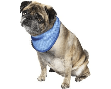 NOBBY  CHLADIACI ŠATKA L PRE PSA 43-58CM ZĽAVA 20 % VÝPREDAJ