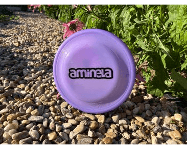 AMINELA FRISBEE FASTBACK CLASSIC PURPLE