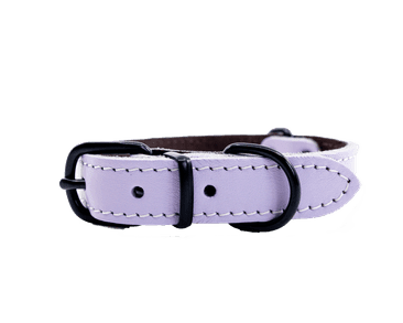 BAFPET KOŽENÝ OBOJEK HERRY MINI, ČERNÉ KOVÁNÍ - FIALOVÁ