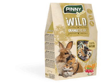 PINNY WILD SNACK ORANGE DREAM 50G EXP 7/2025 ZĽAVA 20%