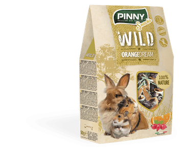 PINNY WILD SNACK ORANGE DREAM 50G