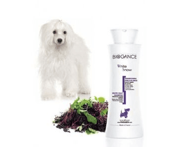 BIOGANCE ŠAMPÓN WHITE SNOW 250ML