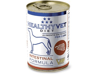 HEALTHYVET DIET DOG INTESTINAL - PODPORA TRÁVENIA A PANKREASU 400 G EXP. 11/2023 ZĽAVA 40%