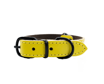 BAFPET KOŽENÝ OBOJEK HERRY MINI, ČERNÉ KOVÁNÍ - ŽLUTÁ