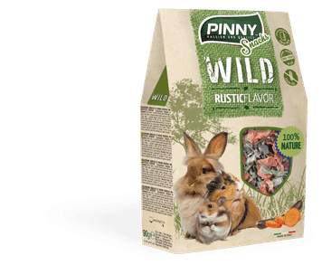 PINNY WILD SNACK RUSTIC FLAVOR 90G