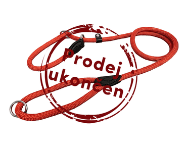 VODÍTKO PREDVÁDZACIE JEDNOFAREBNÉ LANO, ŠITÉ KOŽOU - ČERVENÁ