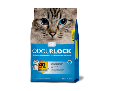 INTERSAND PODSTIELKA ODOUR LOCK 6 KG