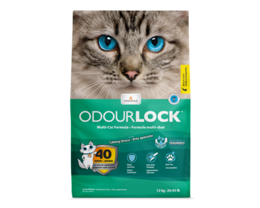 INTERSAND PODSTIELKA ODOUR LOCK -  SVIEŽA VÔŇA 6 KG