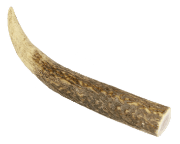MARP HOLISTIC - JELENIE PAROHY, VEĽKOSŤ M (80 - 120G)