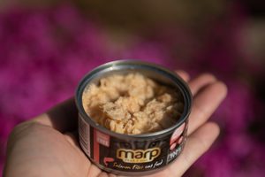 Čo obsahujú konzervy pre psy a mačky?