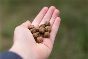 Analytické zložky kŕmenia? #05