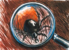 Čo všetko môže spôsobiť jeden kliešť?