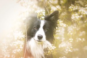 Kde príroda uzdravuje