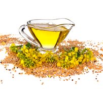 Esenciální mastné kyseliny ve výživě psů