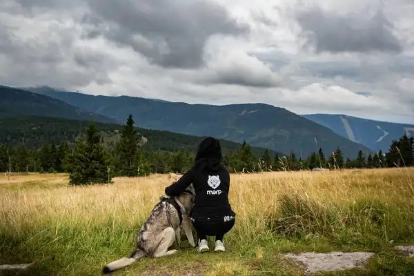 Vášnivá láska k psom, teraz aj vo vašom šatníku!