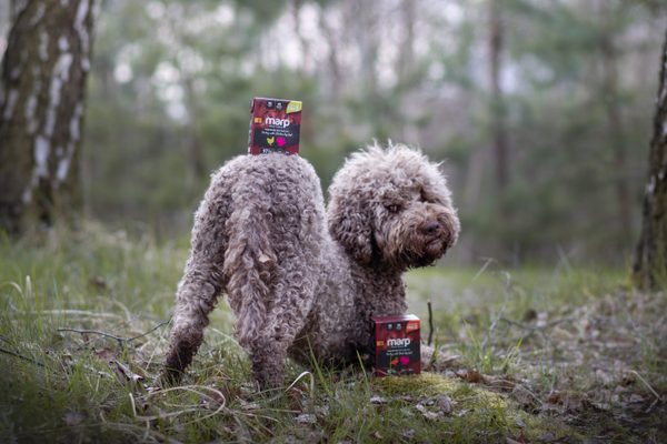 Tetrapak doma aj na cestách