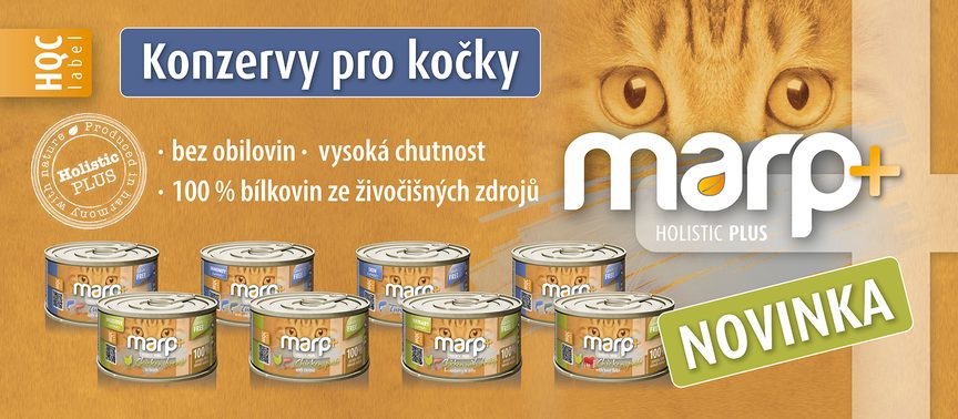 NOVINKA | Konzervy pre mačky
