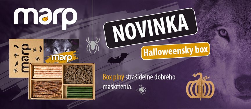 NOVINKA | Halloweenský box s maškrtami