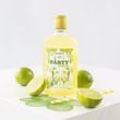 LIPOO MOJITO PÁRTY SIRUP, 500 ml