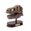 BUKI DinoSKULL vykopávka lebky TREX