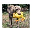 Lanco Pets - Hračka pro psy - Aportovací hračka žába velká