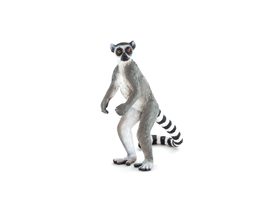 Mojo Lemur kata