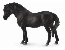 Dartmoorský pony - černý