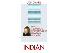 Indián - Román z bouřlivého dětství bývalého primátora Reykjavíku