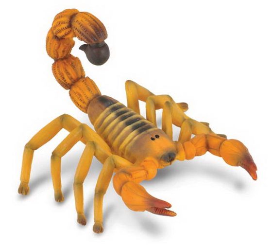 Škorpión