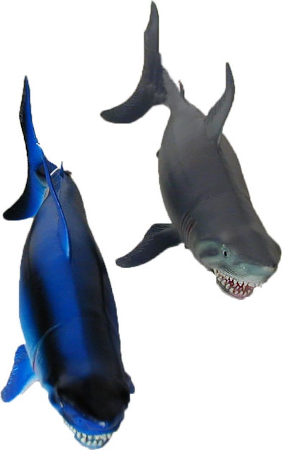 Žralok 2 druhy 34 cm