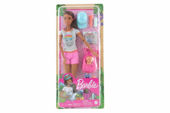 Barbie Wellness panenka - na výletě HNC39