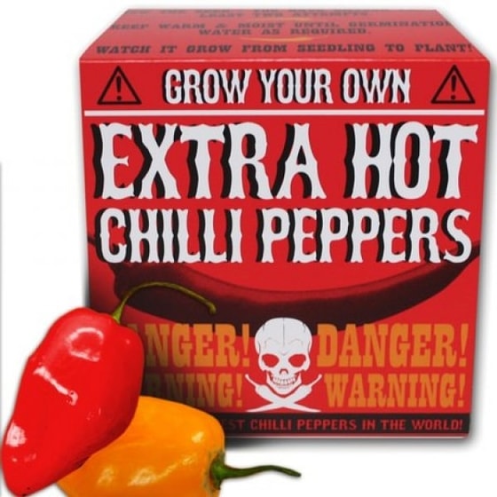 GROW YOUR OWN - Chilli