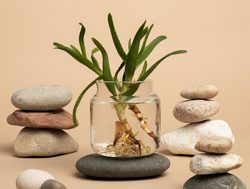 Udržitelné vonné svíčky