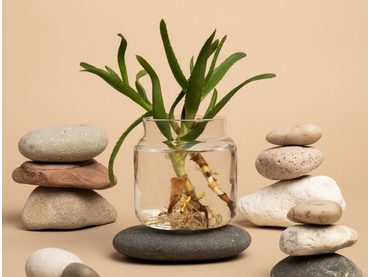 Udržitelné vonné svíčky