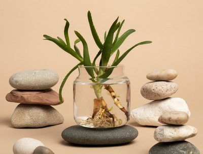 Udržitelné vonné svíčky