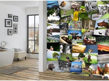 1Wall Kreatívna koláž na stenu 64 dielov 37,5 x 27,5cm Farma