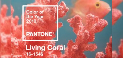 Barva roku 2019