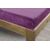 Homeville plachta mikroplyš 90x200 cm fialová