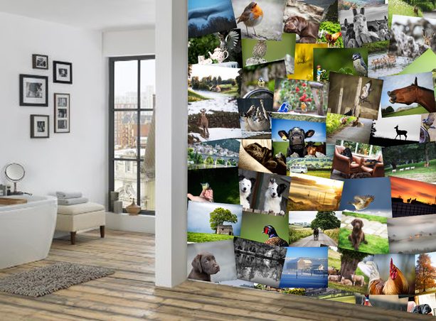 1Wall Kreativní koláž na zeď 64 dílů 37,5 x 27,5cm Farma