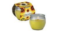 Citronella vonná svíčka ve skle 6ks - hoření 25h