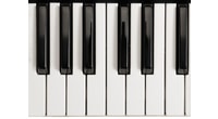 1Wall fototapeta Piano 315x232 cm