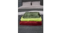 Homeville deka mikroplyš 150x200 cm svetlozelená