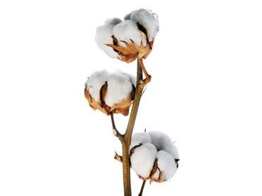 Vrchný matrac VISCOPUR® bamboo 3,5 cm