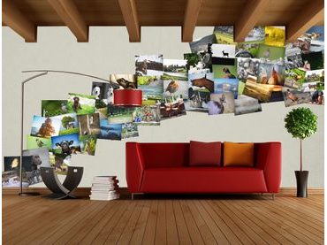 1Wall Kreatívna koláž na stenu 64 dielov 37,5 x 27,5cm Farma