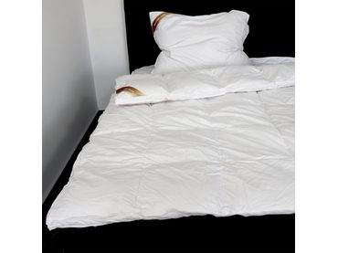 Klasická prikrývka z peria Down & feather collection