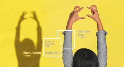 Farba roku 2021